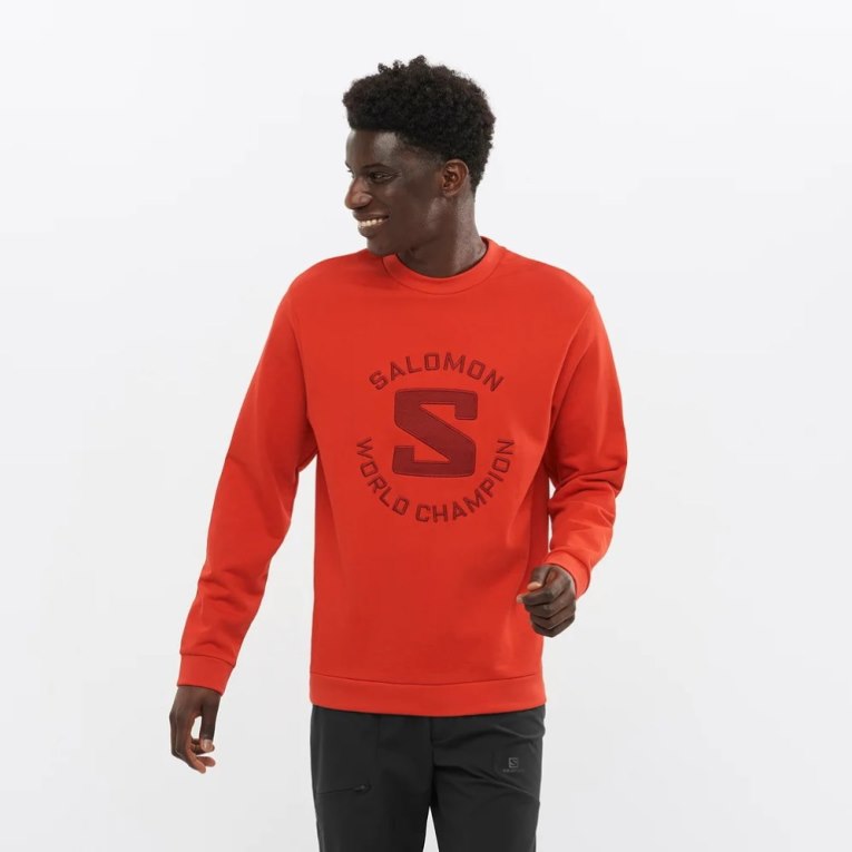 Orange Salomon Outlife Logo Summer Men\'s Sweatshirt | IE IW6452